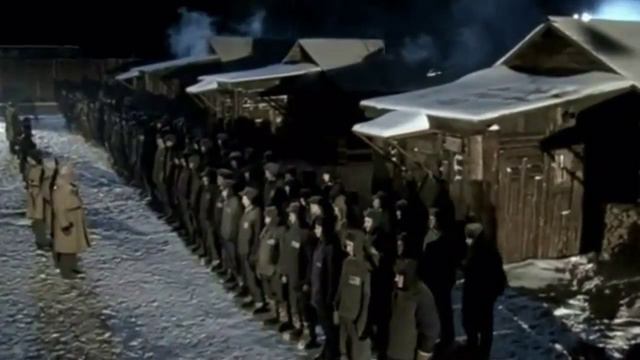 "Волчья кровь" - видеоклип на песню ВИКТОРА ТОКАРЕВА "Волчья кровь" смотреть онлайн
