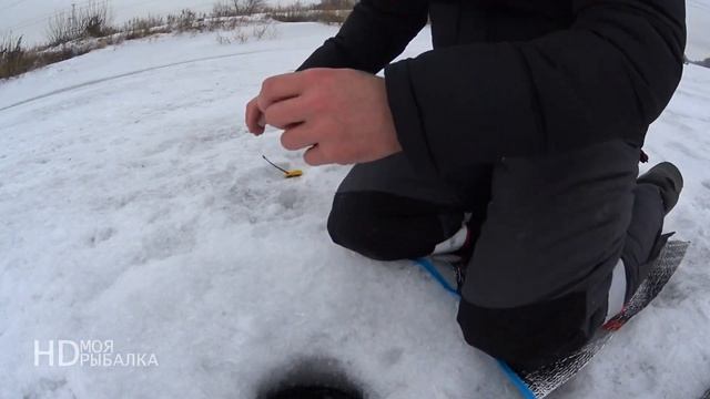 Ловля ПОДЛЕЩИКА в ГЛУХОЗИМЬЕ. Собака стащила рыбу. смотреть онлайн