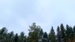 5 марта День Льва Катанского. Что нельзя делать 5 марта. Народные традиции и приметы и суеверия