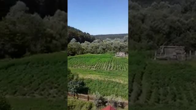 Расстаюсь с Серебренниково смотреть онлайн