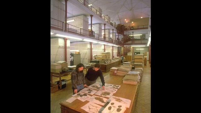 Royal Botanic Gardens, Kew And The Royal Society: A History Interwoven