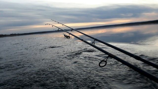 Природа и рыбалка Амурской области смотреть онлайн