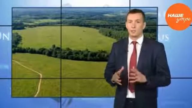 Мир Сотовиков