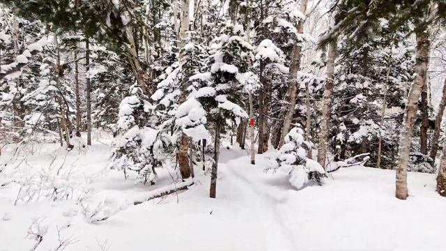 ? Сольфеджио 1074 Гц и расслабляющая музыка для восстановления внутреннего баланса и спокойствия смотреть онлайн
