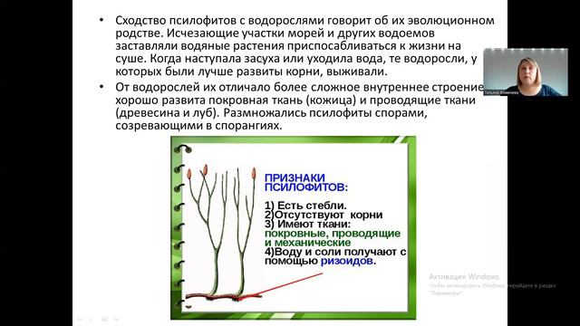Псилофиты смотреть онлайн