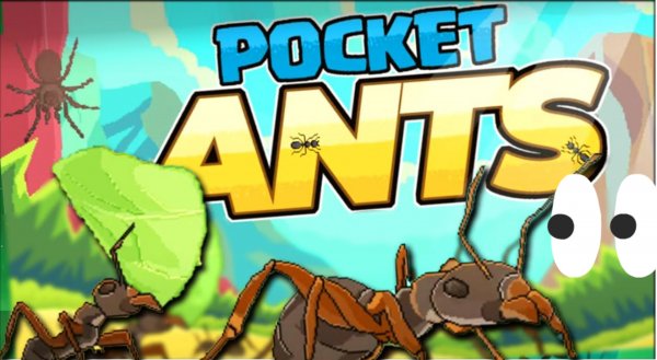 Pocket ants в 2024