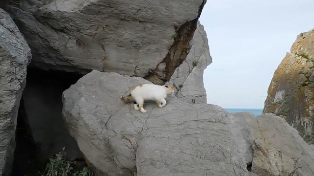 Симеиз 28 Мая 2023 Крым Проспект Набережная Пляж