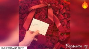 Хьо Х1унда Ца Вог1у?