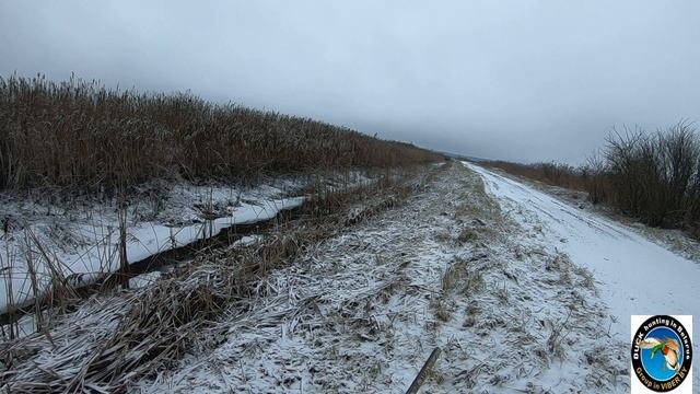 Очередная охота на норку! Добыл пару крупных самцов. Огромные норки! Январь 2021 смотреть онлайн