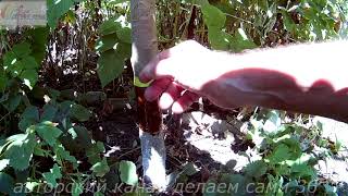 Как избавиться от муравьёв.Борьба с муравьями в саду.Супер способ,очень быстро и просто!. смотреть онлайн