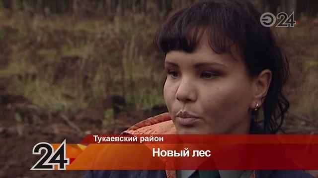 В национальном парке Нижняя Кама высадили саженцы деревьев смотреть онлайн