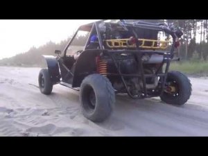 Багги БЕРКУТ. Подборка.