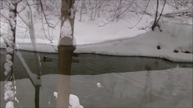 Река Сетунь.mp4 смотреть онлайн