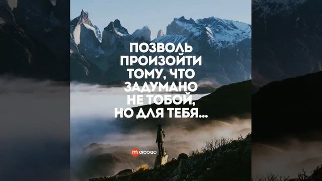 Не скучная жизнь/мы с вами/ смотреть онлайн