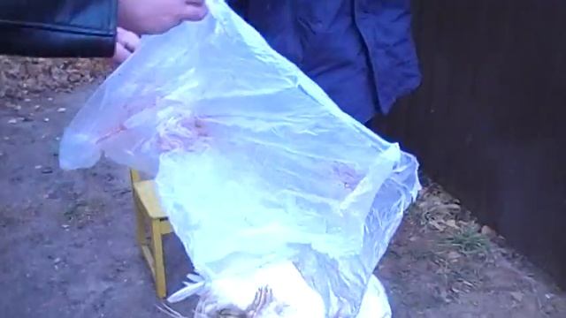 Как ощипать гуся прикол смотреть онлайн