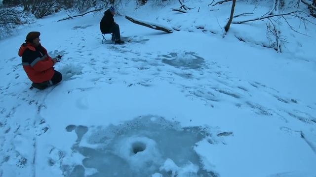 "Едовой" хариус.Встреча с подписчиком.Рыбачим вместе. смотреть онлайн