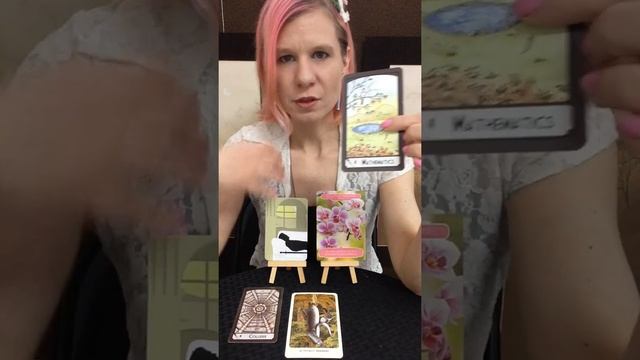 Cancer - Dream Bigger! Weekly Pick a Card Tarot Reading May 1-8 смотреть онлайн