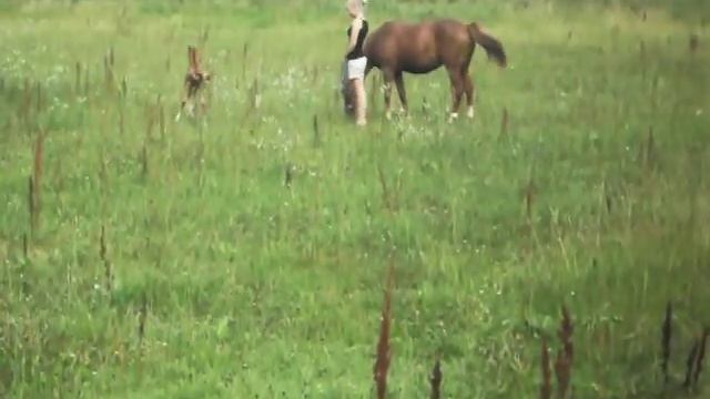 Daniella Hansson Dressage - Wilma Och Heavenly