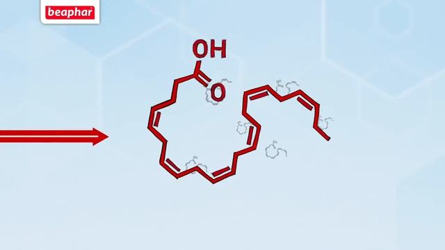 Lactol смотреть онлайн