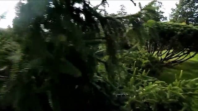 "Вечер без чемоданов" - усадьба Ореховно смотреть онлайн