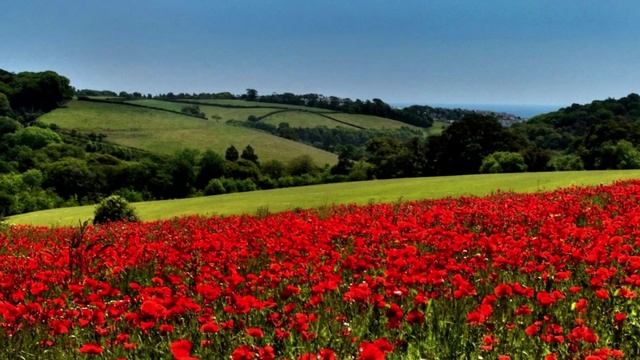 Созидательное противостояние. Как устранить мощнейшее вибрационное расслоение.