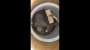 Лучший колодец зимний колодец,почему лучше копать колодец зимой