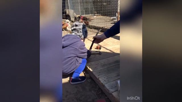 Димка забивает гвозди смотреть онлайн