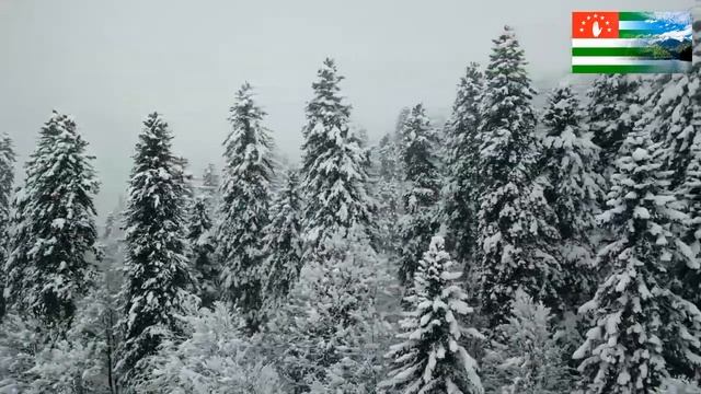 #АБХАЗИЯ #КРАСОТА #ПЕСНИ #ГОРЫ#ЗИМА_2020_ГОД смотреть онлайн