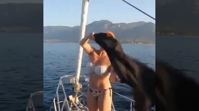 ДЖИГУРДА И АНИСИНА НА ЯХТЕ | ЗАЖИГАТЕЛЬНЫЙ ТАНЕЦ смотреть онлайн