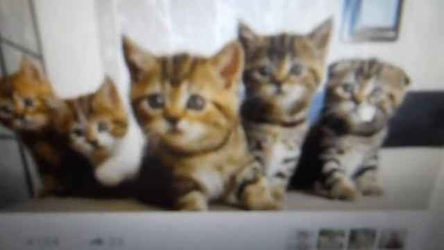 Фото в движении. смотреть онлайн