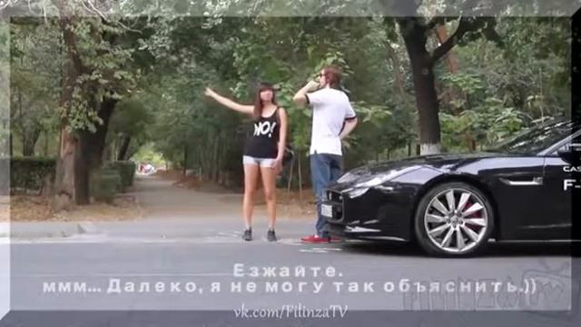 Вот они какие шкуры!