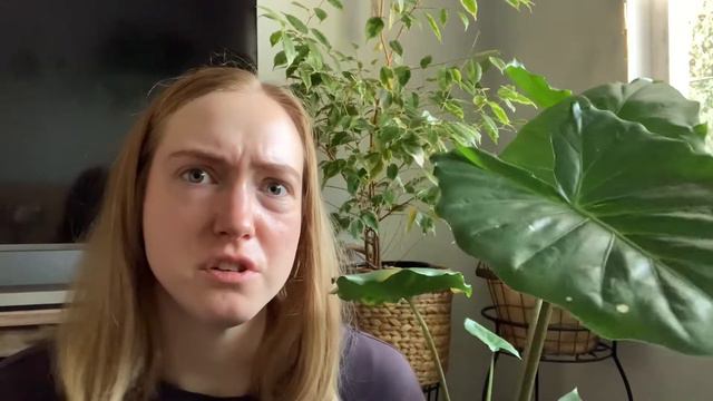 Elephant Ear Plant | Alocasia Plant Care смотреть онлайн