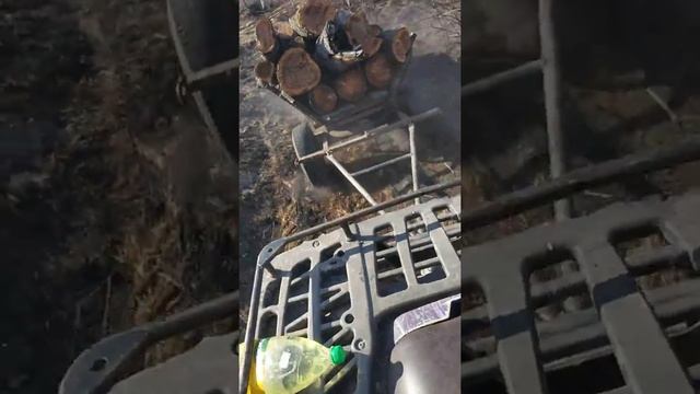 Вожу дрова на квадроцикле? смотреть онлайн