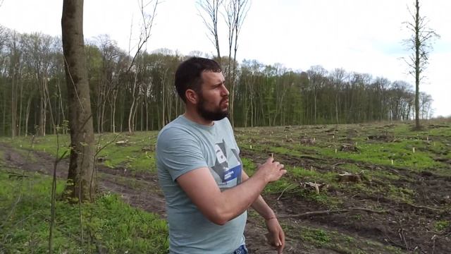 Осмотр места под пасеку в лесу. Как найти акацию и липу в лесах? Медоносы для пчел на пасеке смотреть онлайн