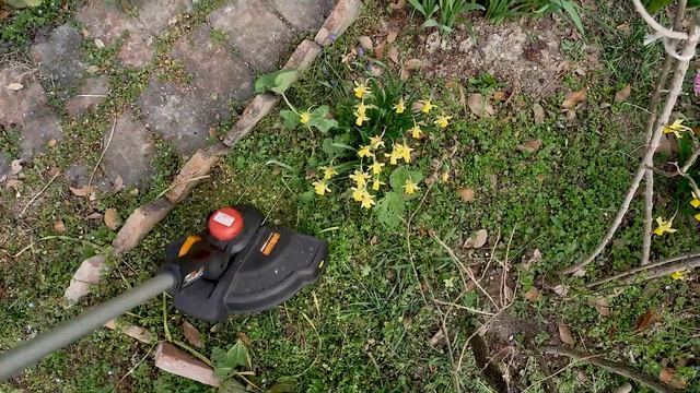 WORX WG173E Rasentrimmer  DE