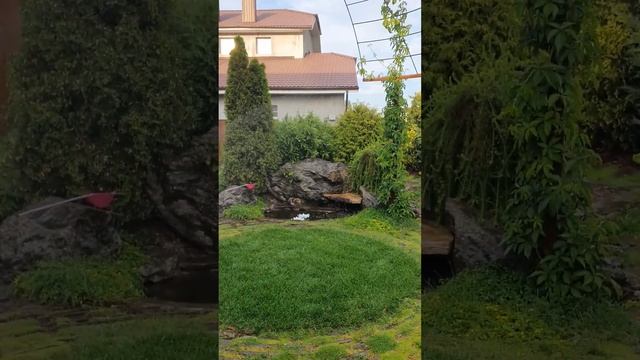 Красивая зона отдыха на даче с маленьким прудиком и водопадом с камнями. Своими руками! смотреть онлайн