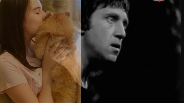 Дистанционное обучение. Тема урока: "Вечные образы в литературе. Гамлет". 6 класс смотреть онлайн