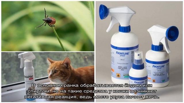 Как Сделать Легко и Просто