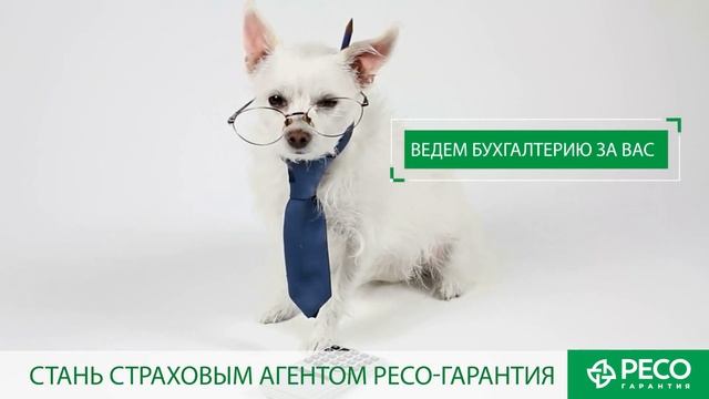 РЕСО Гарантия. rolik reso RABOTA SAMOZANYATYE 0123 смотреть онлайн