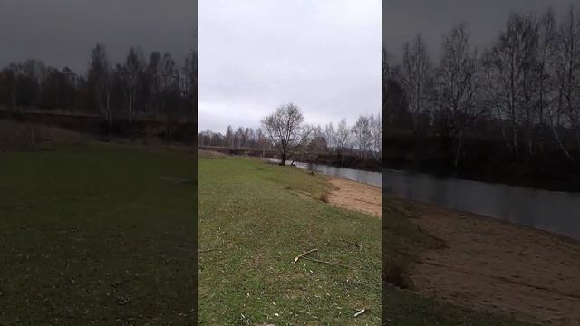 На берегу реки Клязьма, качели, как на Мальдивах на дереве. смотреть онлайн