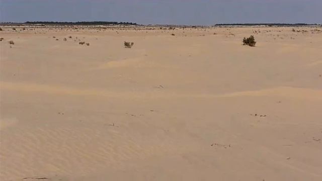 Starex 4WD - Wüste 18 - Pfannstiel смотреть онлайн