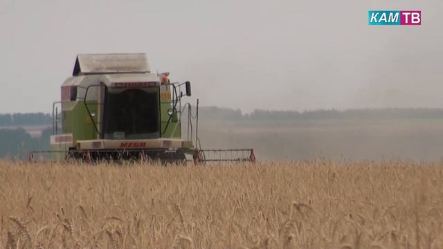 Ореховый спас смотреть онлайн