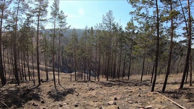 Курва-Батл Эндуро-Исполнителей: Берсерк VS Камикадзе VS Колян! Кто круче? смотреть онлайн