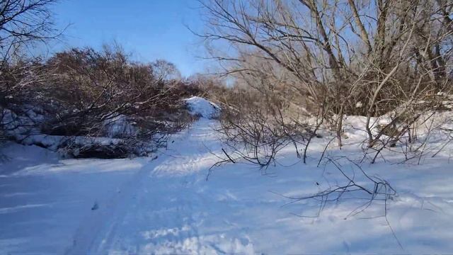 Индустрия дорог - проект Чистка русла реки смотреть онлайн