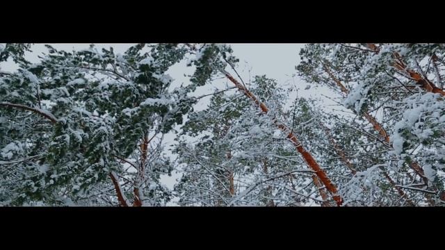Смотреть Всем!!Задумайтесь! ОЧень трогательный стих! смотреть онлайн
