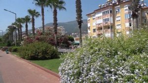 Kleopatra Dreams Beach Hotel SUNSET Пляж Клеопатры в Алании Kleopatra beach Alanya Strand ziminvide