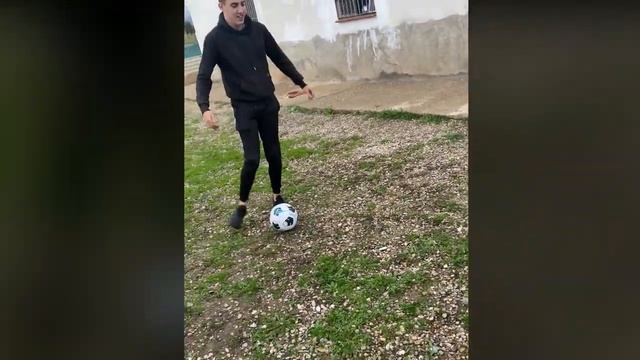 New+Funniest+Animals+Videos+of+2024+-+Funny+Cats+and+Dogs+???? ????
#funnyanimals #cute