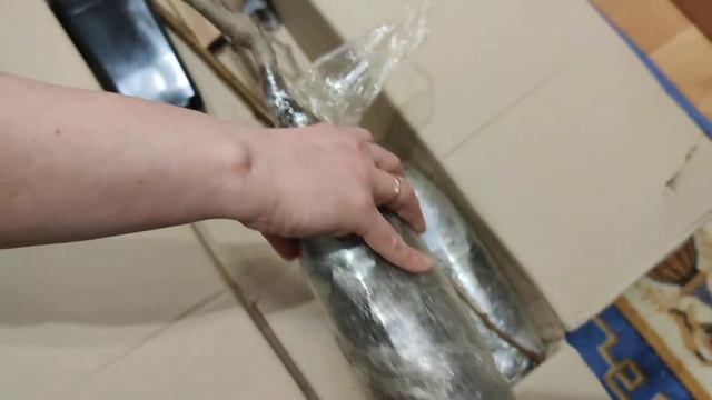 Агромаркет РАСПАКОВКА САЖЕНЦЕВ смотреть онлайн