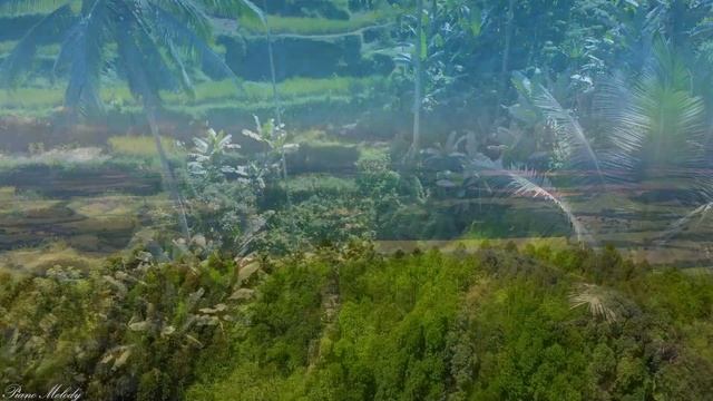 Расслабляющая музыка, исцеляющая от стресса, беспокойства и депрессивных состояний. успокоить разум смотреть онлайн