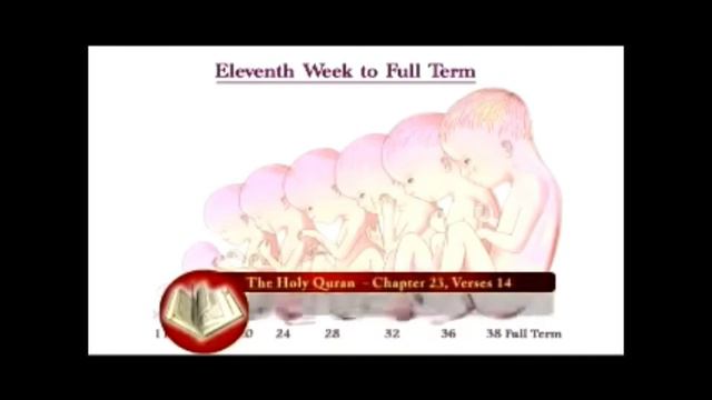 A Response and Light for David Woods Error in Quran 23:14 смотреть онлайн